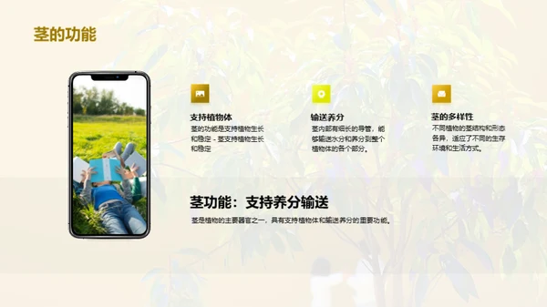 商务风教育培训教学课件PPT模板