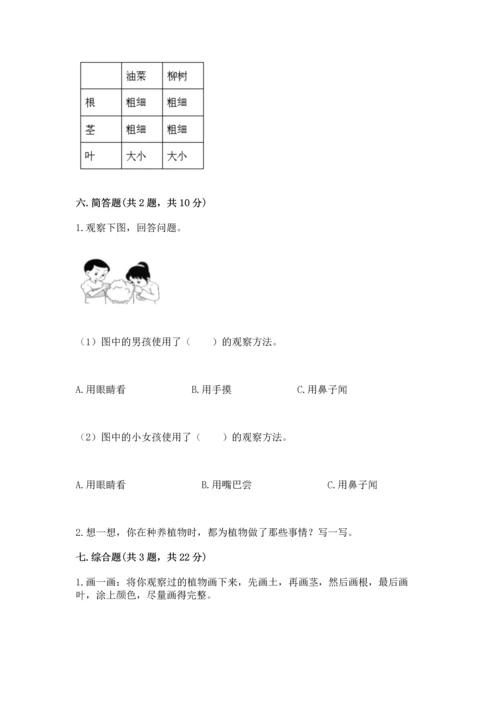 教科版科学一年级上册第一单元《植物》测试卷含答案【预热题】.docx