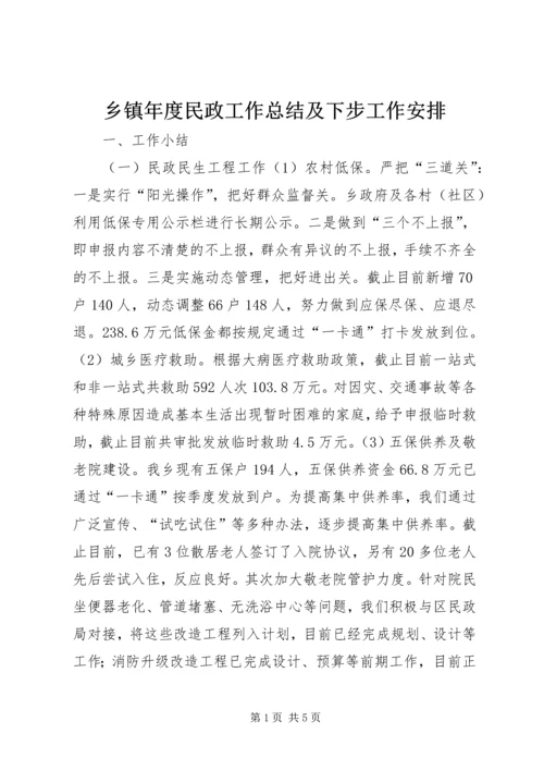 乡镇年度民政工作总结及下步工作安排.docx