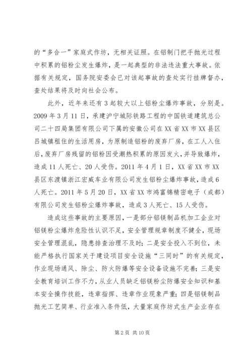 铝镁专项整治方案.docx