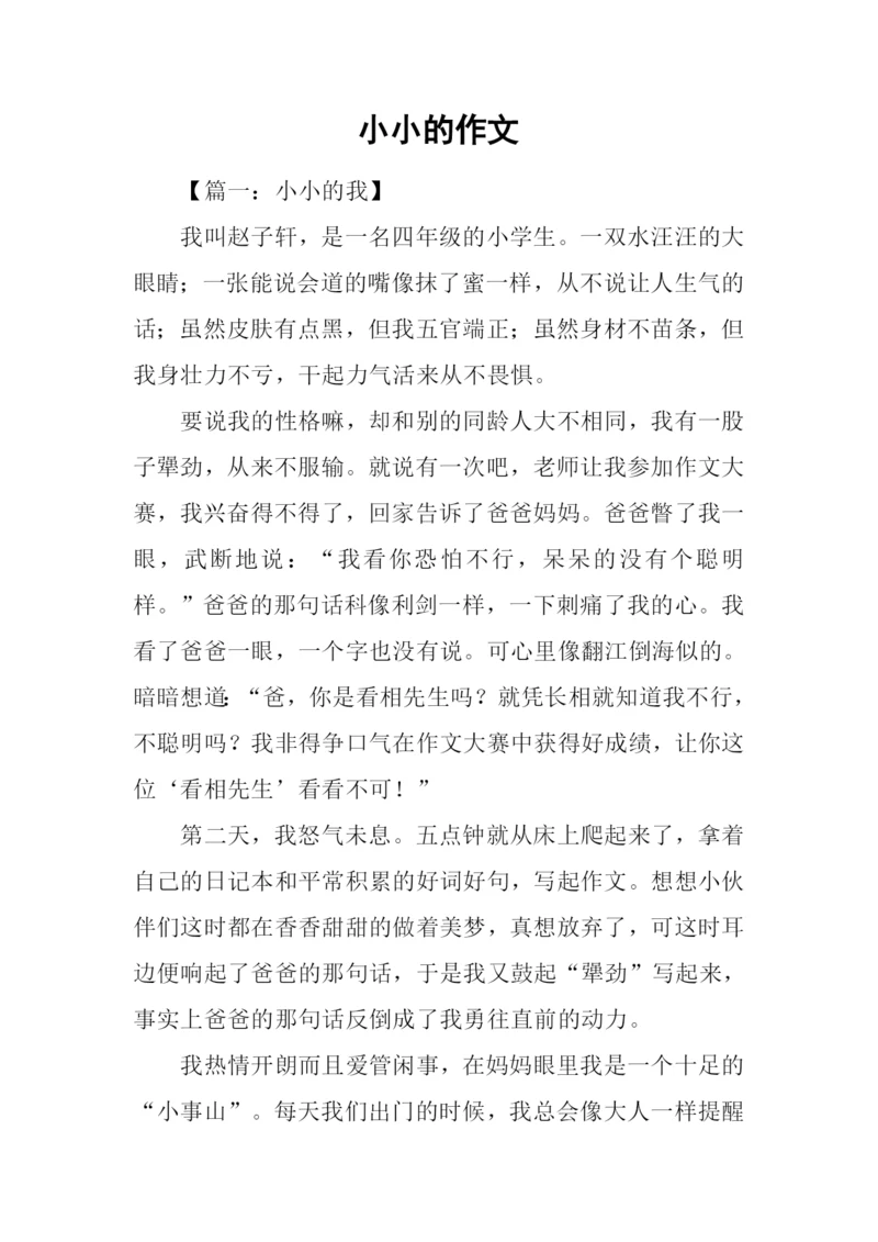 小小的作文0.docx