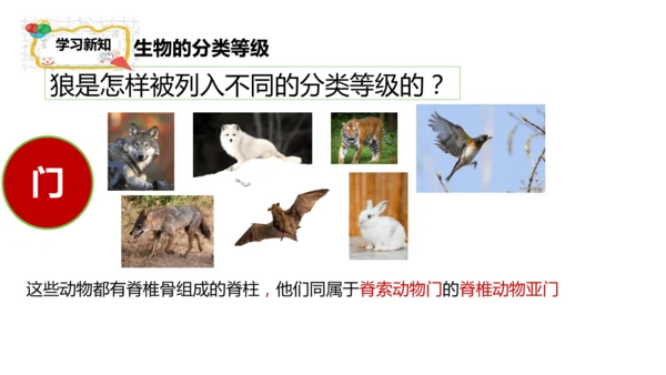 人教版生物七年级上册2.4.2《生物分类的方法——从种到界》课件(共26张PPT)