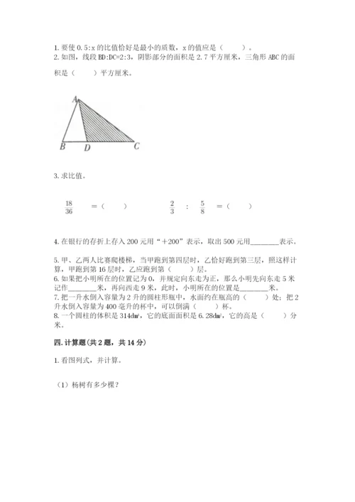 新昌县六年级下册数学期末测试卷有完整答案.docx