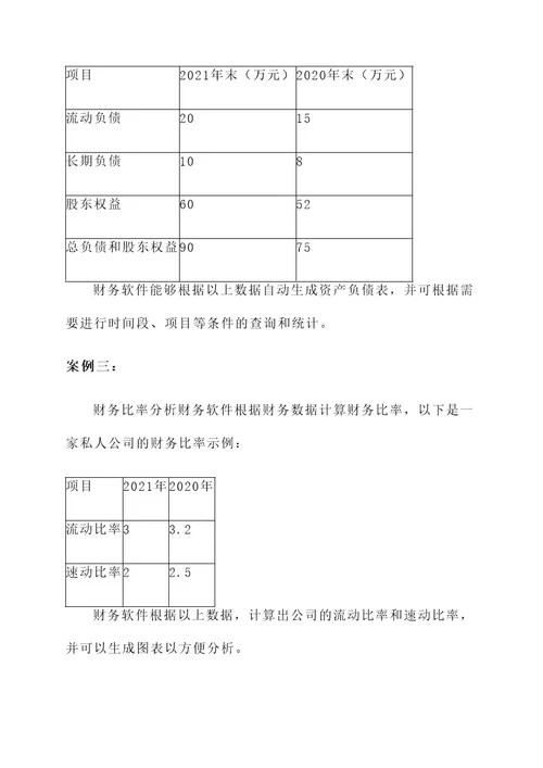 私人公司财务软件开发方案