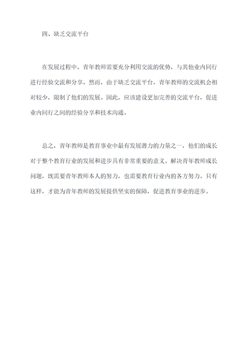 青年教师现状剖析