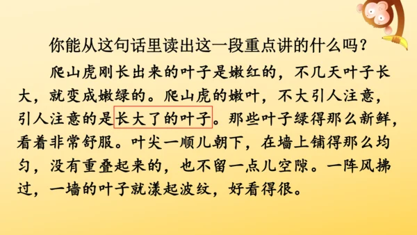 10 爬山虎的脚   课件