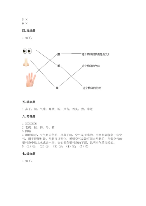 教科版一年级下册科学期末测试卷含答案【夺分金卷】.docx