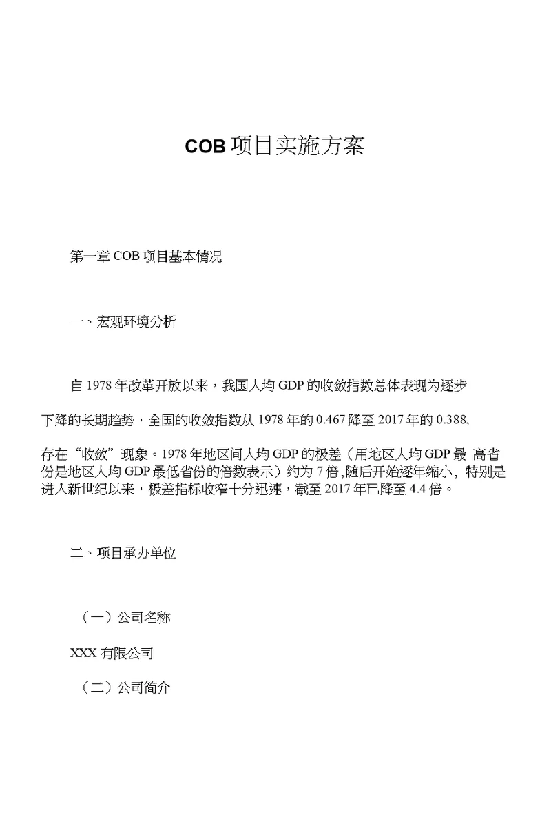 COB项目实施方案