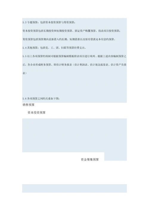 全面预算管理实施细则.docx