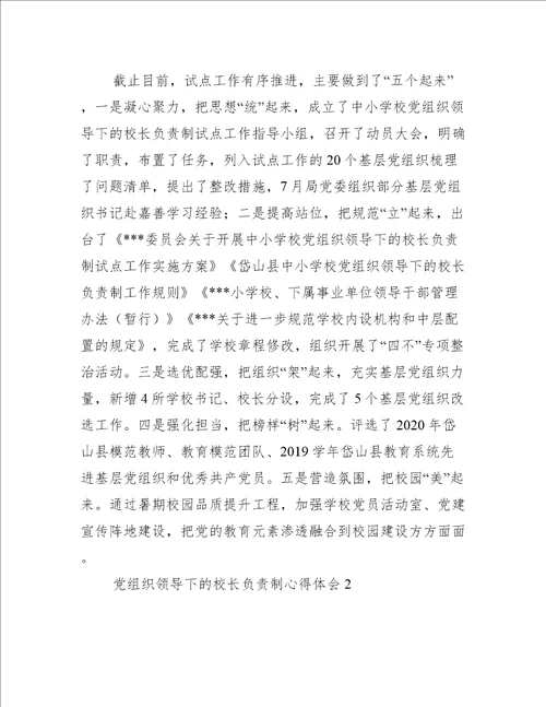 党组织领导下的校长负责制心得体会范文(精选8篇)