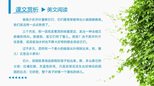 蓝色商务简约古希腊的石头高中课本PPT模板