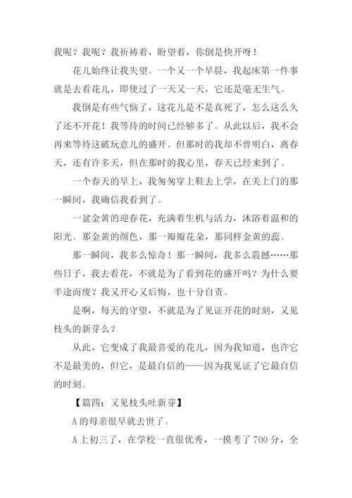 又见枝头吐新芽作文500字.docx