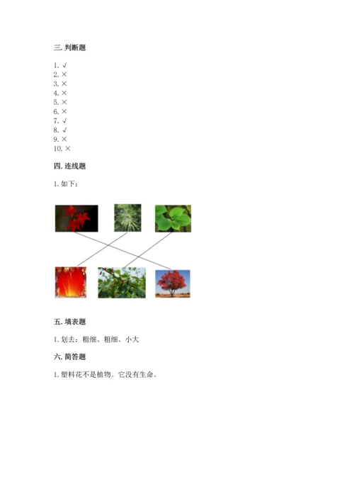 教科版一年级上册科学期末测试卷及答案（精品）.docx