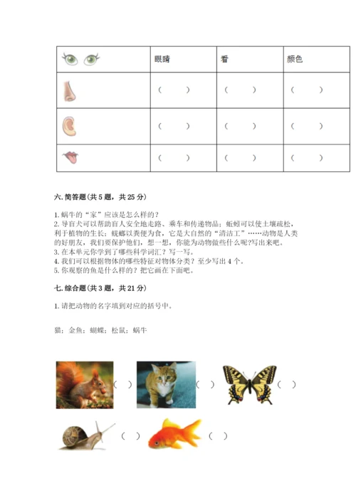 教科版一年级下册科学期末测试卷精品【典型题】.docx