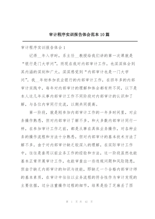 审计程序实训报告体会范本10篇.docx