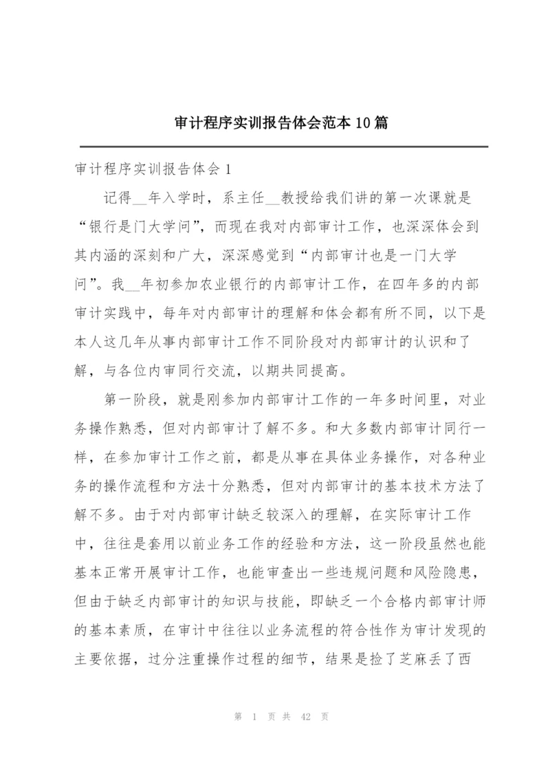 审计程序实训报告体会范本10篇.docx