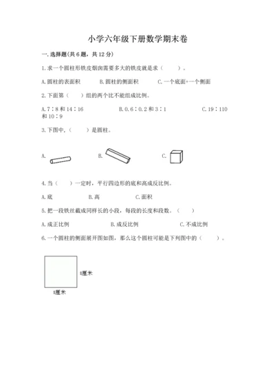 小学六年级下册数学期末卷精品（典优）.docx