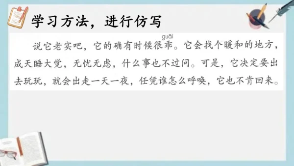 《13.猫》课件