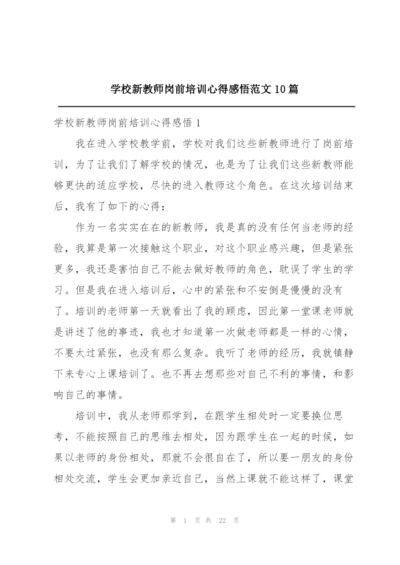 学校新教师岗前培训心得感悟范文10篇.docx