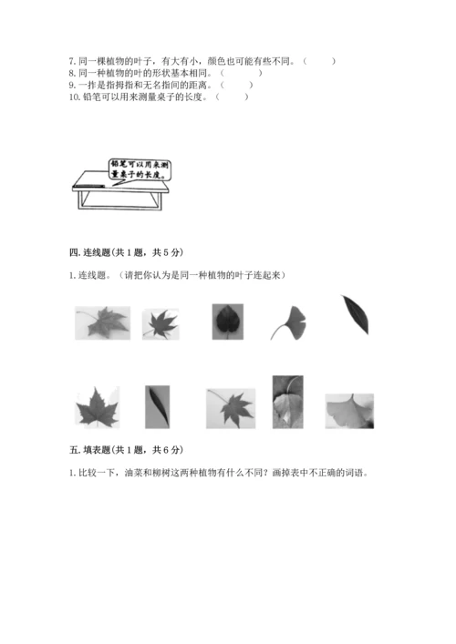 教科版小学一年级上册科学期末测试卷重点班.docx