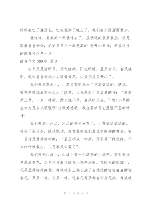 踏青作文300字6篇.docx