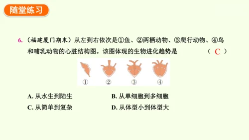 7.3.2生物进化的历程-八年级生物人教版下学期同步精品课件(共34张PPT)