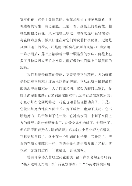 出淤泥而不染作文.docx