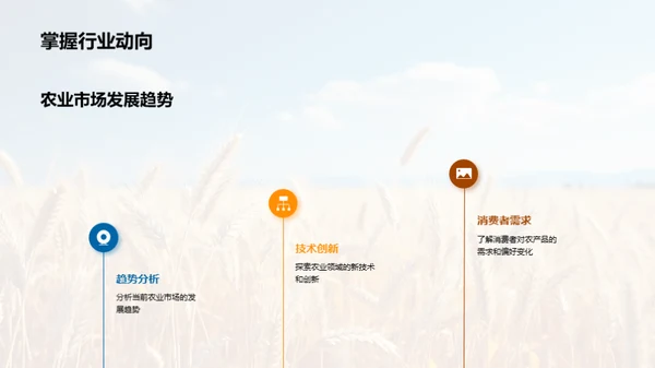 农业市场创新策略