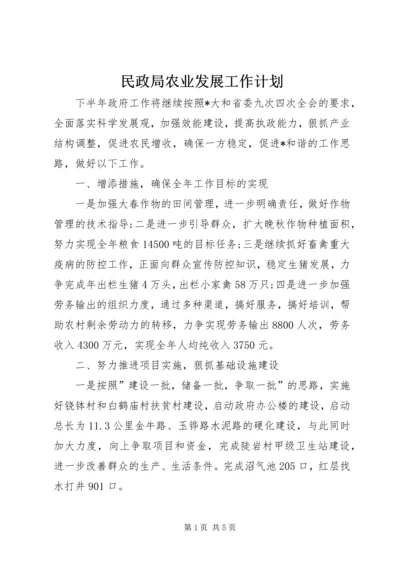 民政局农业发展工作计划.docx