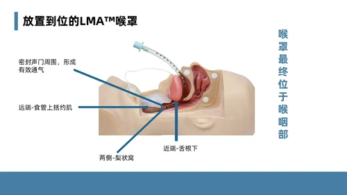 蓝色简约风课件急诊科规范化培训培训课件PPT模板业务培训