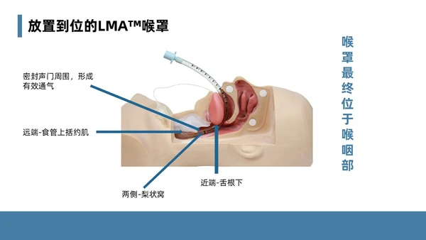 蓝色简约风课件急诊科规范化培训培训课件PPT模板业务培训