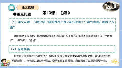 统编版四年级语文下册单元复习第四单元（复习课件）