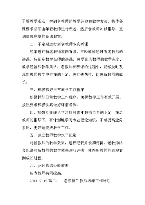 教师老带新工作计划