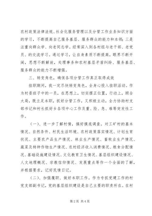 挂职干部个人工作计划.docx