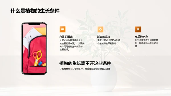 揭秘植物生长奇观