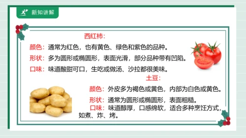 【核心素养目标】主题四 活动一《会爬的蔬菜》课件-【东北师大版】《劳动实践》二上