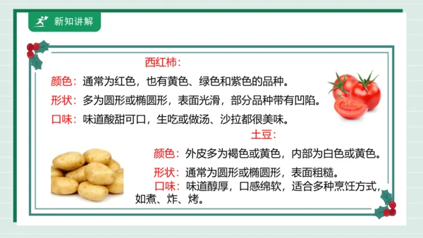 【核心素养目标】主题四 活动一《会爬的蔬菜》课件-【东北师大版】《劳动实践》二上