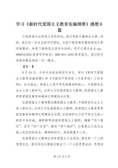 学习《新时代爱国主义教育实施纲要》感想6篇.docx