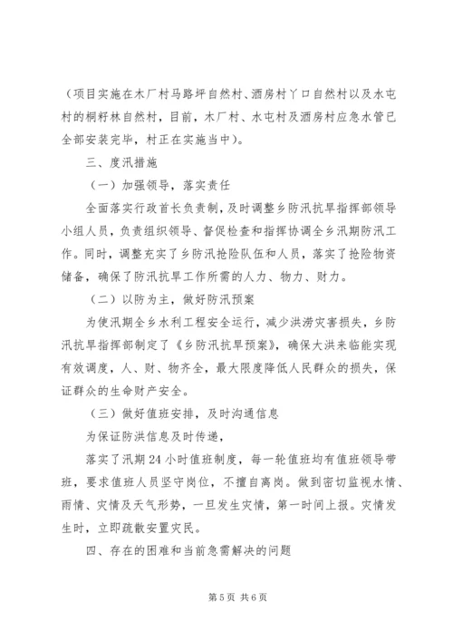 乡镇防汛抗旱工作检查情况自查报告.docx