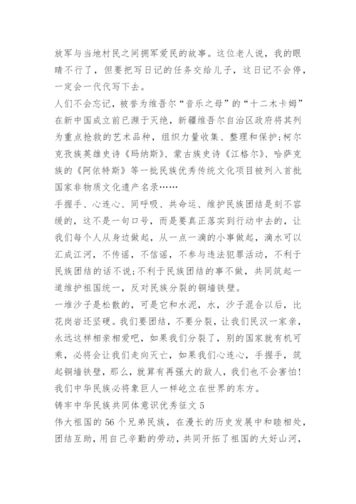 铸牢中华民族共同体意识优秀征文10篇.docx