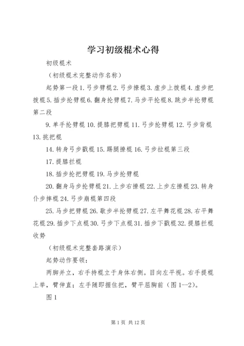 学习初级棍术心得.docx