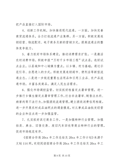 招商合作局工作总结及工作计划.docx