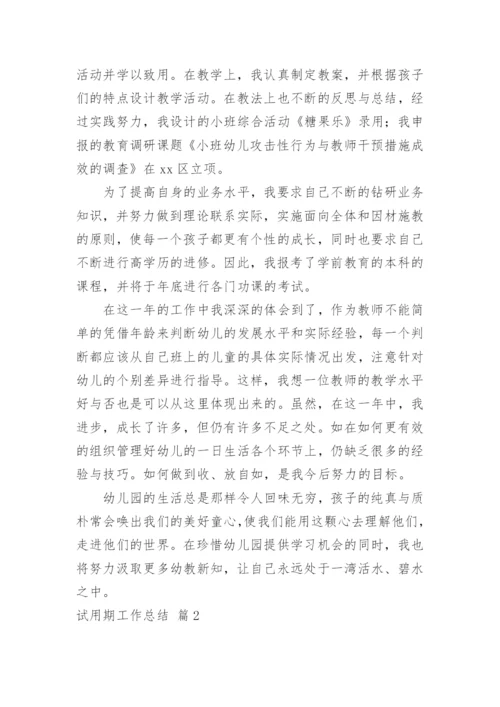 试用期工作总结_76.docx