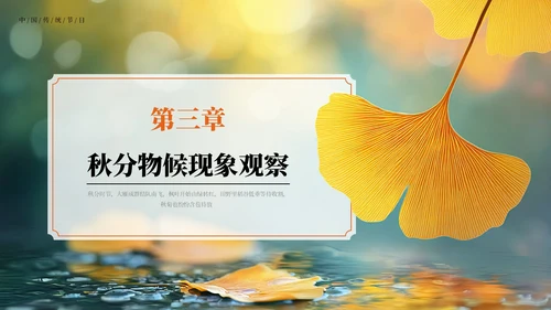 橙色中国风二十四节气秋分节气PPT模板