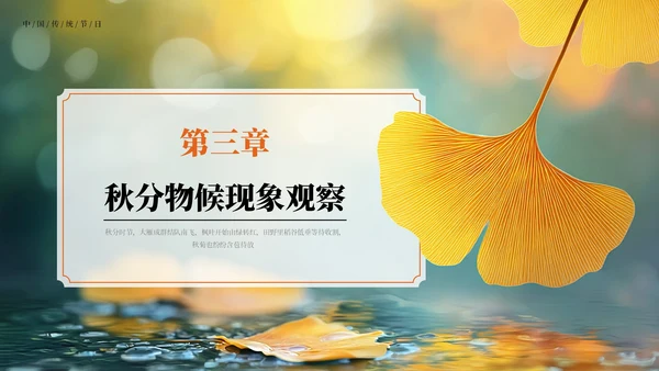 橙色中国风二十四节气秋分节气PPT模板