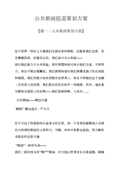 专业策划书之公共新闻报道专业策划案.docx