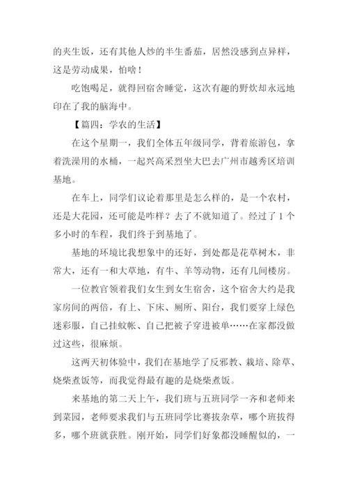 学农作文600字0.docx
