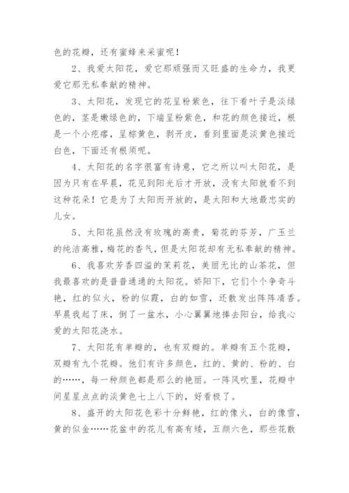 描写太阳花的唯美句子.docx