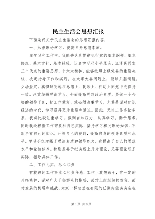 民主生活会思想汇报 (11).docx