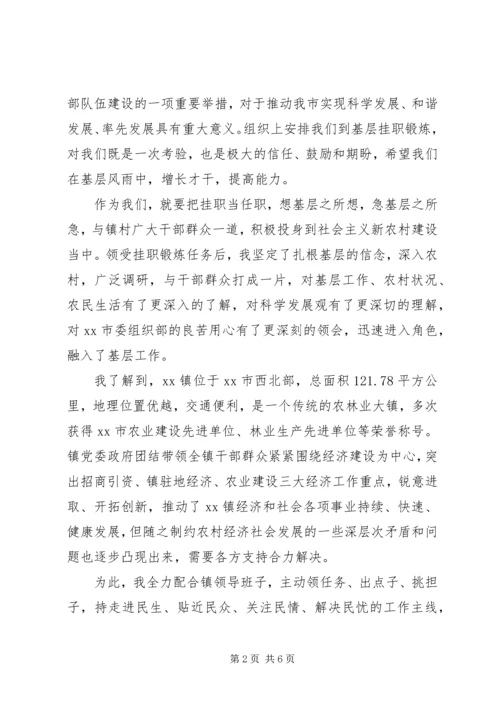 乡镇挂职工作情况报告总结.docx